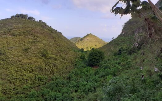Land 15 min to the beach with Oceanview