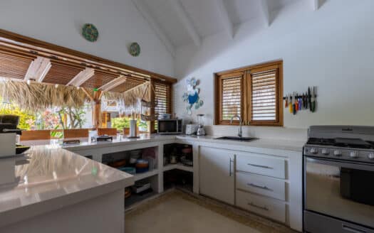 Luxury Caribbean villa in a beachfront community in Coson