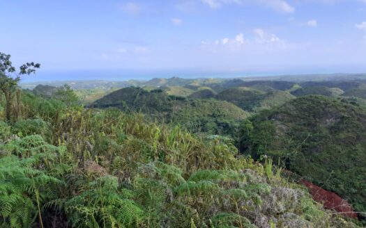Land 15 min to the beach with Oceanview