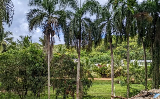 Lot with views over the green