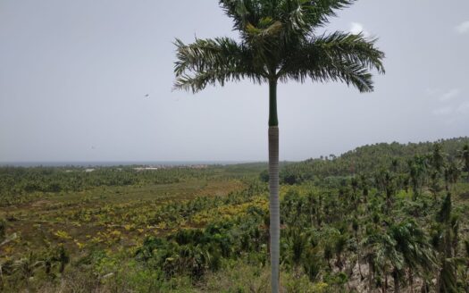 Land on a hill over-viewing the Atlantic