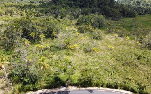 Tu terreno de ensueño a un paso de Playa Coson