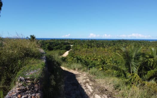 Lote con vista al océano en una colina de primera línea en Portillo