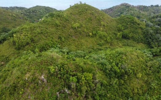Oportunidad excepcional de terreno con vistas al océano Atlántico en Coson