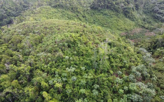 Oportunidad excepcional de terreno con vistas al océano Atlántico en Coson