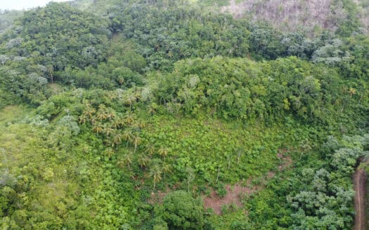 Oportunidad excepcional de terreno con vistas al océano Atlántico en Coson