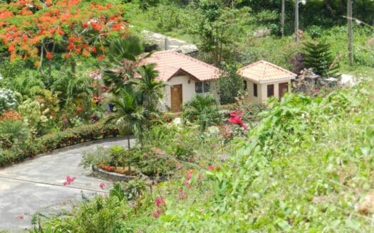 A beautiful hill ready for building lots