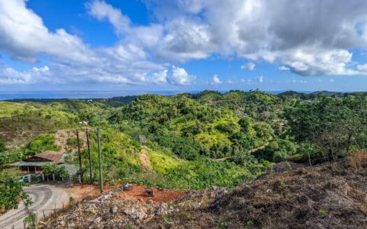 Oceanview view land in Hoyo Cacao