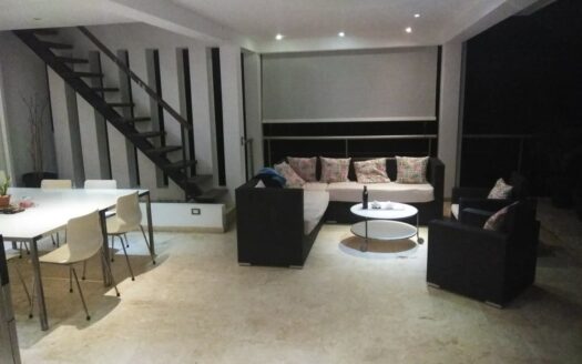 Modern 3-level penthouse in gated community
