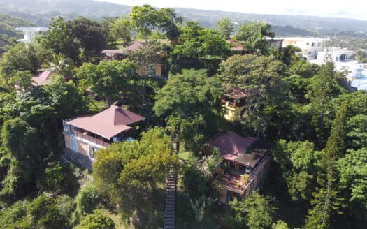 6 villas con vista al mar en el corazón de Las Terrenas