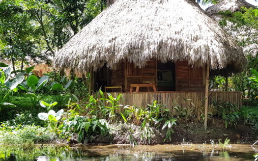 Eco lodge in the middle of nature