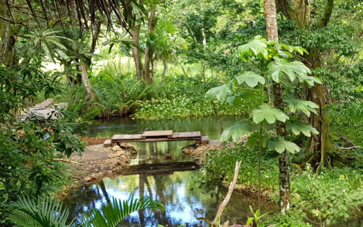 Eco lodge in the middle of nature