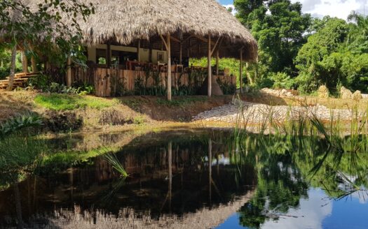 Eco lodge in the middle of nature