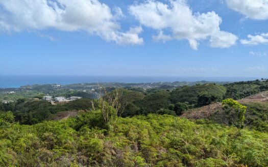 Villa vista oceano con imposta di proprietà gratuita e 4 camere da letto