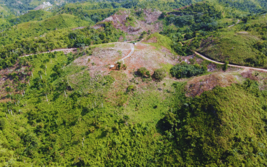 Oceanview land within Sienna project